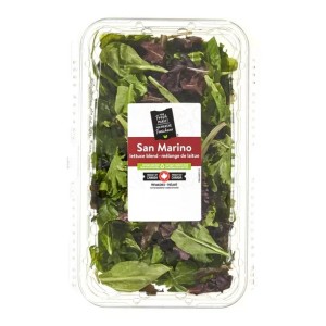 Your Fresh Market San Marino Lettuce Blend, 454 g