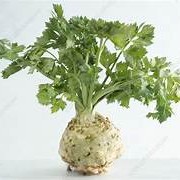 Celeriac