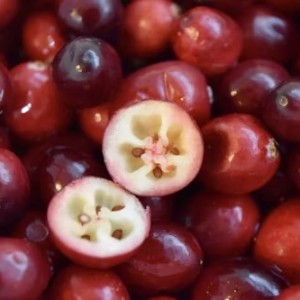 Cranberry