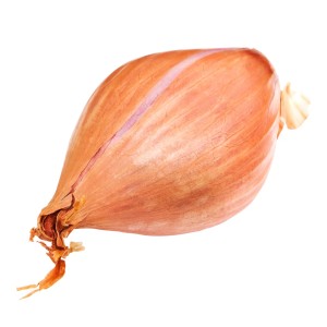 Shallots