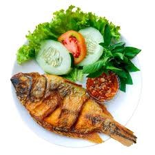 Fish Items